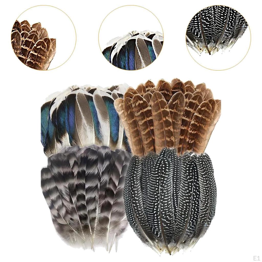 Crafts Feathers Artificial Feather Decorative Art Supplies Ornament Colorful Handicraft