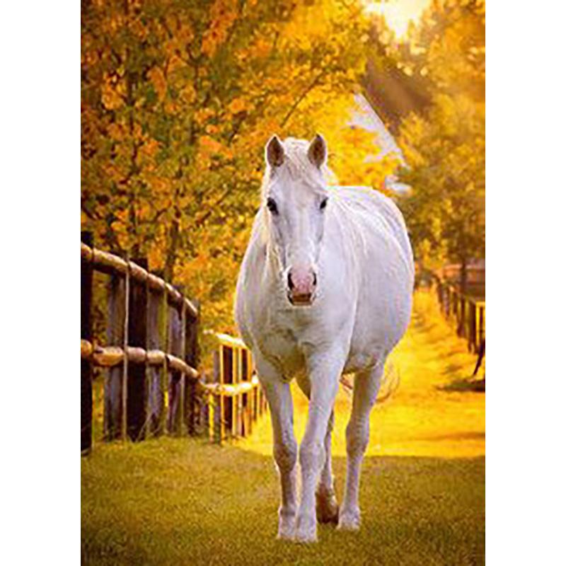 5D DIY Diamond Painting Animals Horse Cross Stitch Kit Full Round Drill Embroidery Mosaic Art Picture of Rhinestones Decor Gift