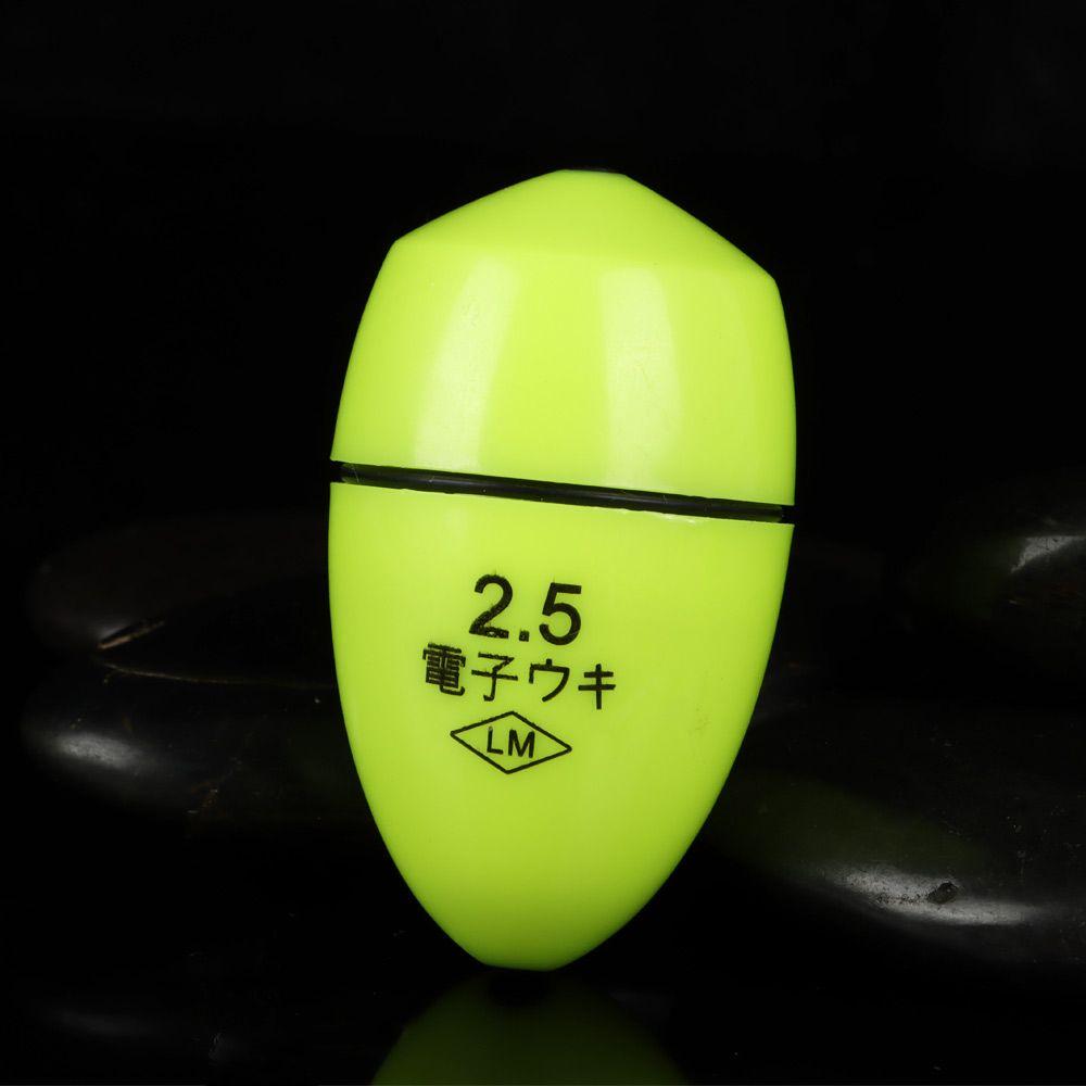 Fishing Tool Plastic Glow Rocky Fishing Float Zhongtong Luminous Float Electronic Float