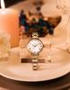 Casio Men's Stainless Steel 50M Water Resistant Analog Quartz Watch SHE-4549CG-7A