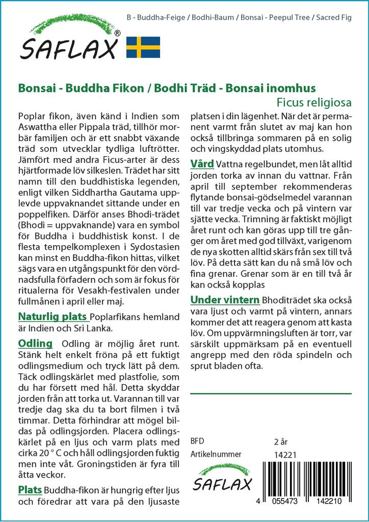 SAFLAX Garden in the Bag - Бонсай - Дерево Пипул / Священный инжир - 100 семян - С субстратом в подходящем пакете - Ficus religiosa