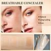 Liquid Concealer with Brush Hydrating Foundation Makeup Oil-control Non-removal of Makeup Skin-friendly BB Cream Foundation Liquid Covers Blemishes