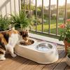 Plastic Cat Food Water Bowls Stainless Steel Pet Water Feeder Practical Pet Double Bowls  Pet Food