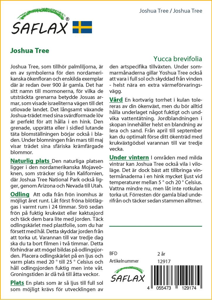 SAFLAX Дерево Джошуа - 10 семян - Юкка коротколистная