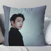 Korean Celebrity PPark Jinyoung Pillow Case Fashion Square Pillowcase Bedroom Sofa Room Ins Decoration Leisure