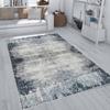 Washable Printed Carpet RVG1986-SM515