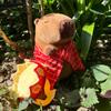 Кукла Tang Monk Capibala, плюшевая игрушка, кукла Capybara, детская тряпичная кукла, подарок Будды, норка, новый стиль
