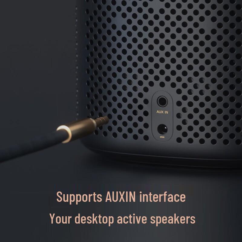 Умная колонка Xiaomi Xiaoai Speaker Pro, AI, китайская вилка (адаптер в комплекте) (Китайская версия)