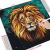 50x50cm 5D DIY Diamond Painting New Arrivals Lion Diamond Embroidery Sale Animal Rhinestones Mosaic Handmade Gift