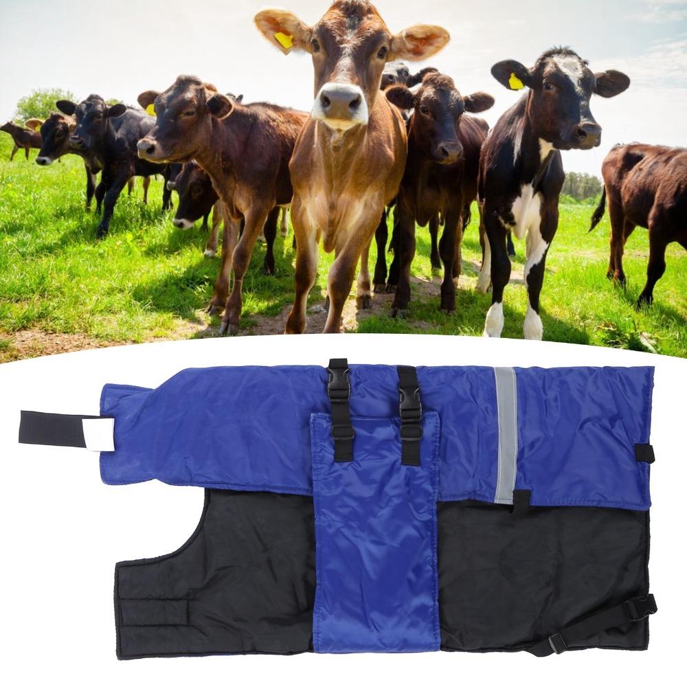 Oxford Fabric Calf Warm Coat Double-Breasted Buckles Calf Clothing Calf Warm Clothes  Livestock