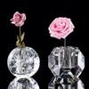 High End Crystal Glass Vase Light Luxury Home Decore Bubble Ball Terrarium Ikebana Vase Nordic Decoration Home Accessories Vases