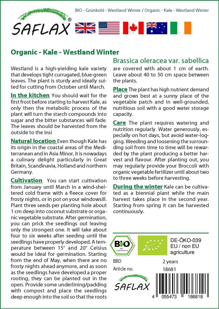 SAFLAX Organic - Капуста - Westland Winter - 70 семян - Brassica oleracea
