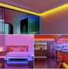 USB Гибкая Водонепроницаемая Светодиодная Неоновая Лента 3M/5M RGB Пульт Дистанционного Управления Светодиодный Неоновый Свет для Вечеринки Спальни Неоновая Декоративная Подсветка