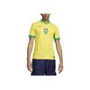Nike Бразилия 2024 Match Home ADV Аутентичный трикотаж Динамичный желтый/лимонный шифон/зеленая искра Мужская уличная одежда FJ4270-706