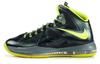 LeBron 10 'Dunkman' 541100-300
