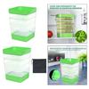Seed Sprouter Kits 4 Tier Mini Plant Grow Tray for Beans Wheat Alfalfa