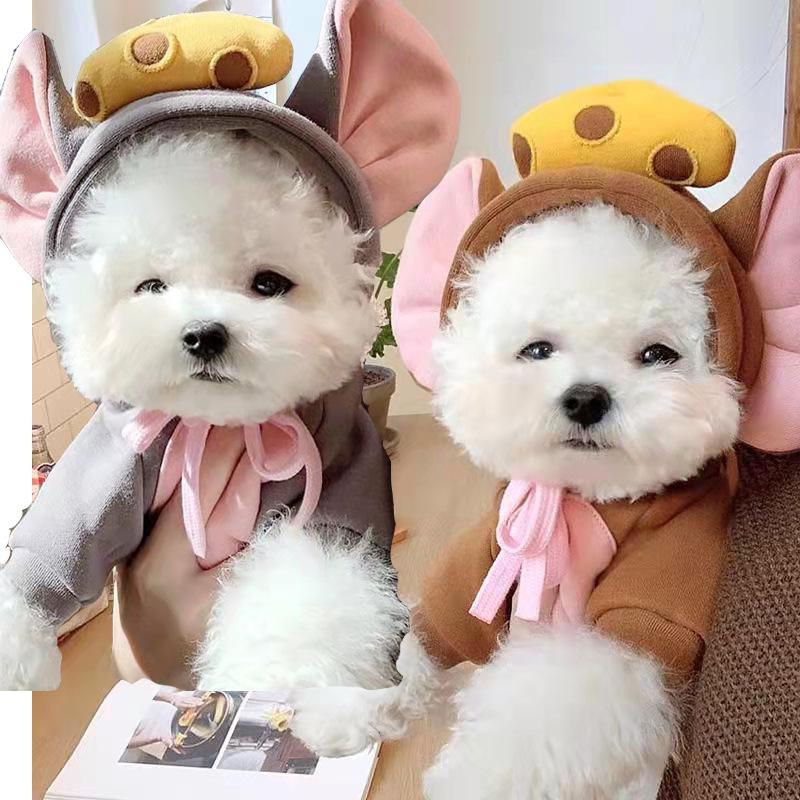 Dog clothes turned into dog cat clothes Small and medium-sized dog autumn and winter pet supplies Teddy Fatou cat clothing