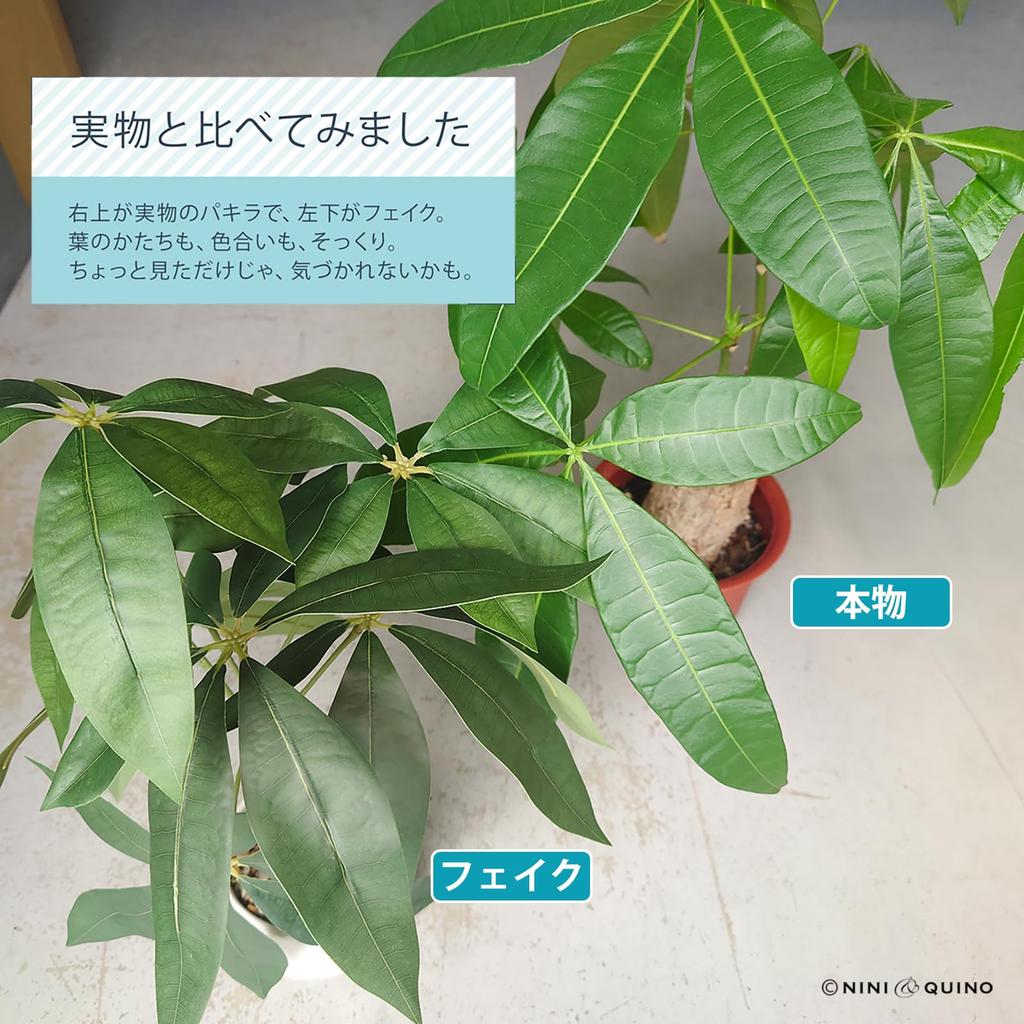 Ниниан и Кино Искусственная зеленая пахира в 35-сантиметровом керамическом горшке Реалистичное растение, не требующее ухода Не вянет Декоративное для дома Идеально для гостиной