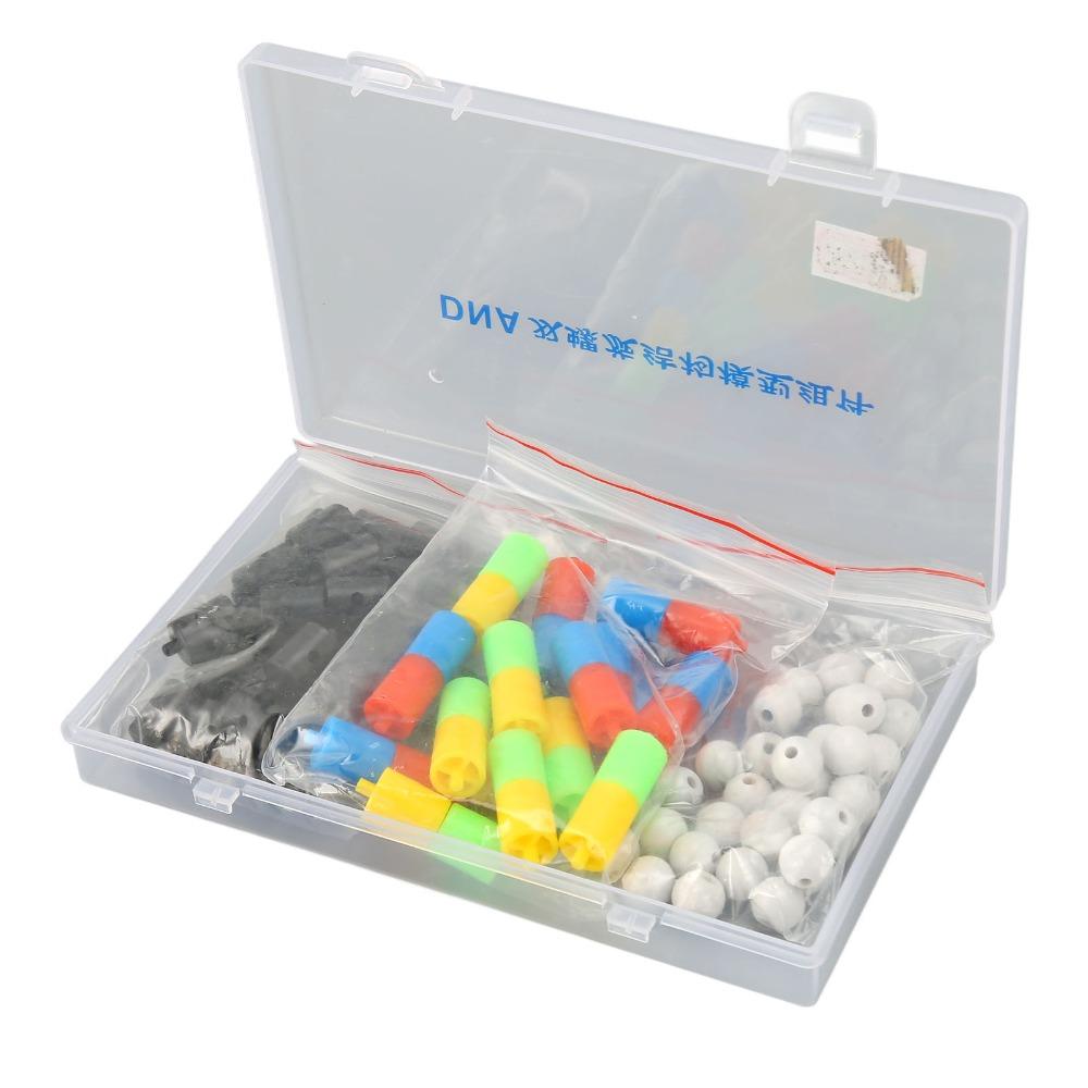 Plastic Material Dna Double Helix Model Spiral Shape Genetic Variation Model Structure Observation