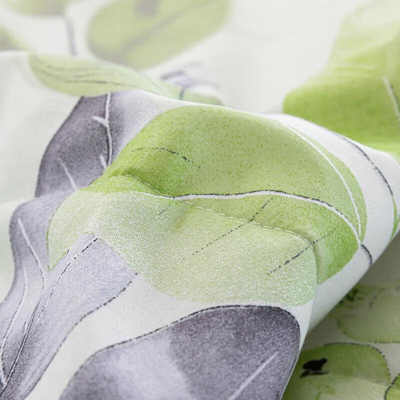 Hengyuanxiang Xiaomeiman All-Season Polyester Quilt