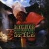 CD RICHIE SPICE - Spice In Your Life FECD001 5th Element 2004 Ямайка Регги, Ска и Даб Б/У