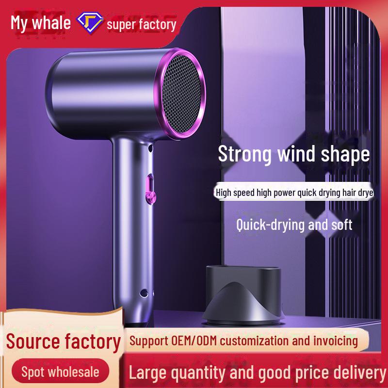 Quick-Dry High-Power Hair Dryer: Salon-Quality, Low Noise, Hair-Friendly, Ideal for Home and Professional Use