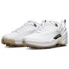 Air Jordan 12 Low Golf 'Masters' Jordan DM0106-117