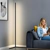 LED Floor Lamp, Dimmable and Color-Adjustable, Modern Japanese Design, Stylish, USB Lead Plug, Perfect for Living Rooms, Bedrooms, Studies, Game