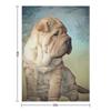 Shar Pei Puppy Throw Blanket Thermals For Travel Moving decorative Sofa Throw Blankets