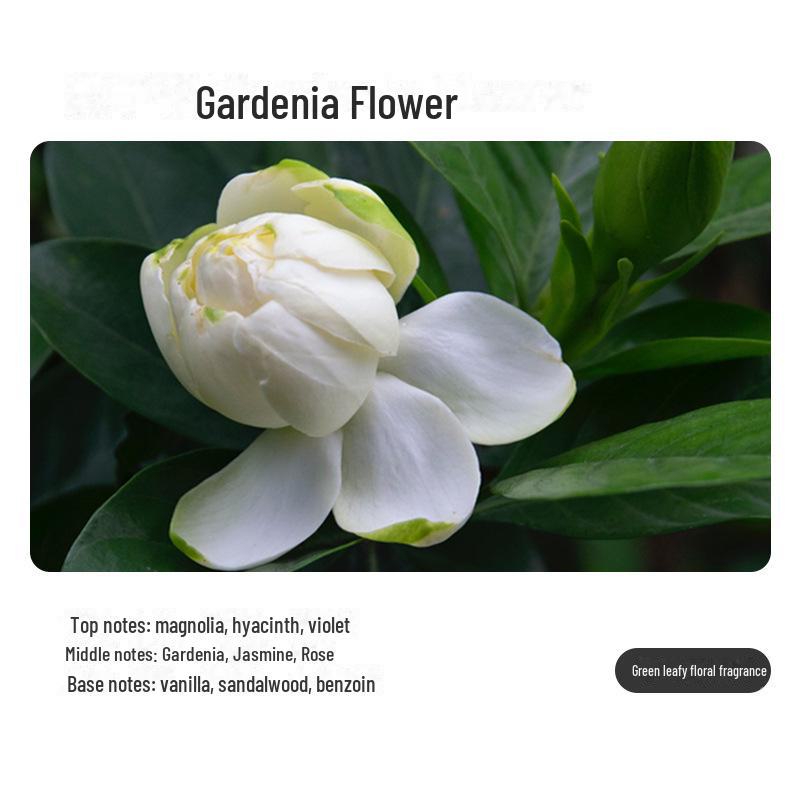 Автоматический распылитель для ароматерапии: Компактный, работающий от батареек ароматизатор для дома и ванной комнаты