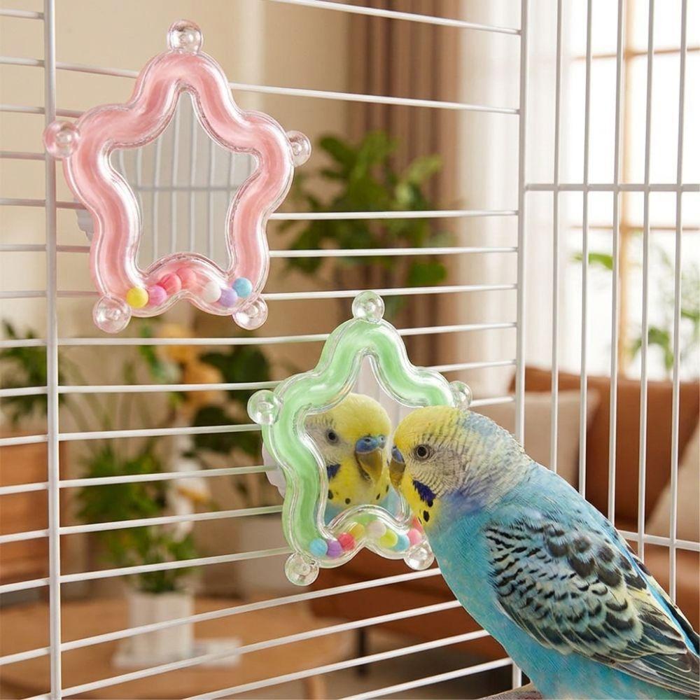 Colorful Beads Star Rotating Parrot Mirror Toy Mirror Parrot Interactive Toy Bird Supplies