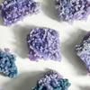 Гладкие Полированные Камни Натуральный Виноградный Агат Кристаллическая Гроздь, Минеральный Самоцвет, Каменный Ландшафт для Аквариума Террариума Декор, Уникальный Подарок Коллекционерам