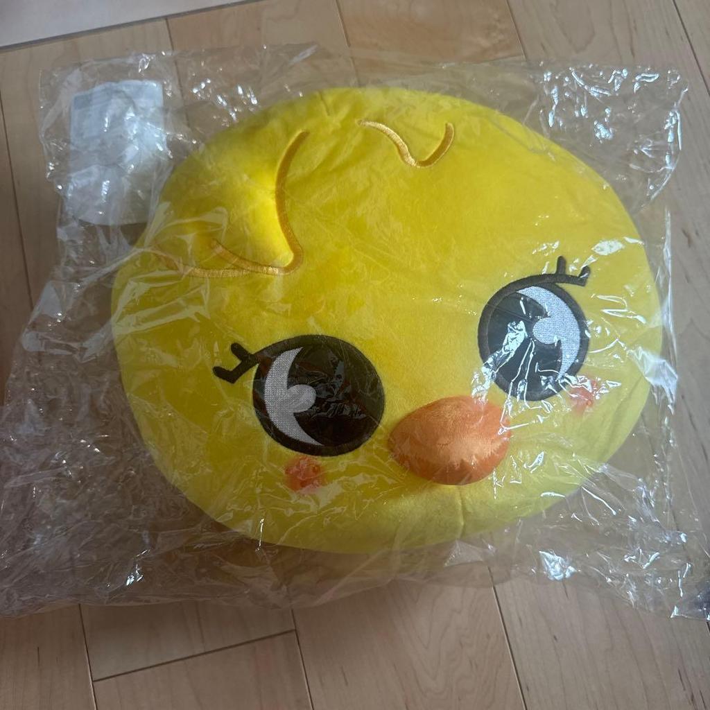 [USED] Stray Kids SKZOO PLUSH CUSHION BbokAri