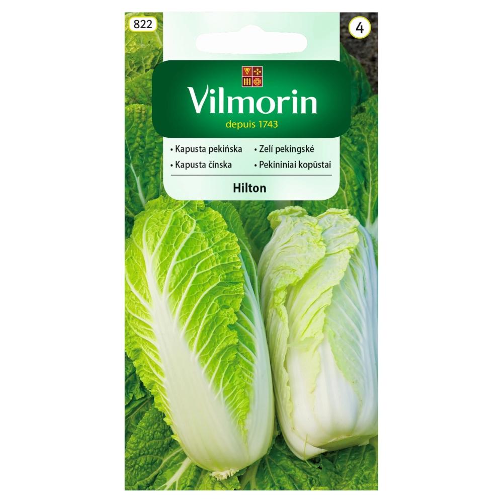 Hilton Chinese Cabbage Seeds 0.5g - VILMORIN