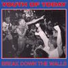 Виниловая пластинка YOUTH OF TODAY  Break Down The Walls Youth Of Today REV008 Revelation Reco 2022 US Rock
