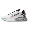 Nike Кроссовки унисекс Air Max 2090 Pure Platinum Белые Ярко-Малиновые Черные CT7695-100