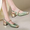 Новый китайский стиль, национальный стиль, сандалии баотоу, женские туфли Мэри Джейн на среднем каблуке, летний темперамент, толстый каблук, высокий каблук, одинарные туфли