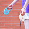 Retractable Dog Walking Roulette Collar Durable Traction Rope Chihuahua Nylon Dog Leash  Outdoor