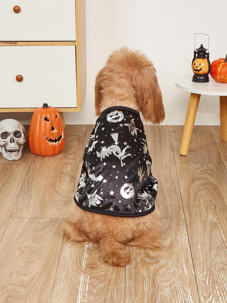 Magic Halloween Cloak for Small Dogs & Cats - Teddy Poodle Costume