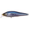 Megabass Minnow LBO SHALLOW GG Sardine 38859 Lure X-80SW