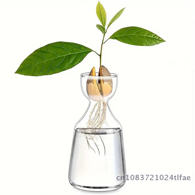 1 Pc Avocado Seed Starter Vase Transparent Glass Vase Vase For Growing Plant Glass Seed Growing Kit For Gardening Lovers