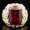In-Stock Two-Tone Ruby and Diamond Gold-Plated Women's Ring - European and American Fashion Classic