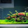 Fish Tank Ornaments, Aquarium Resin Wine Barrel Decorations, Fish Tanks Hideout Cave House Landscaping For Fish Shrimp Breeding Resting Playing