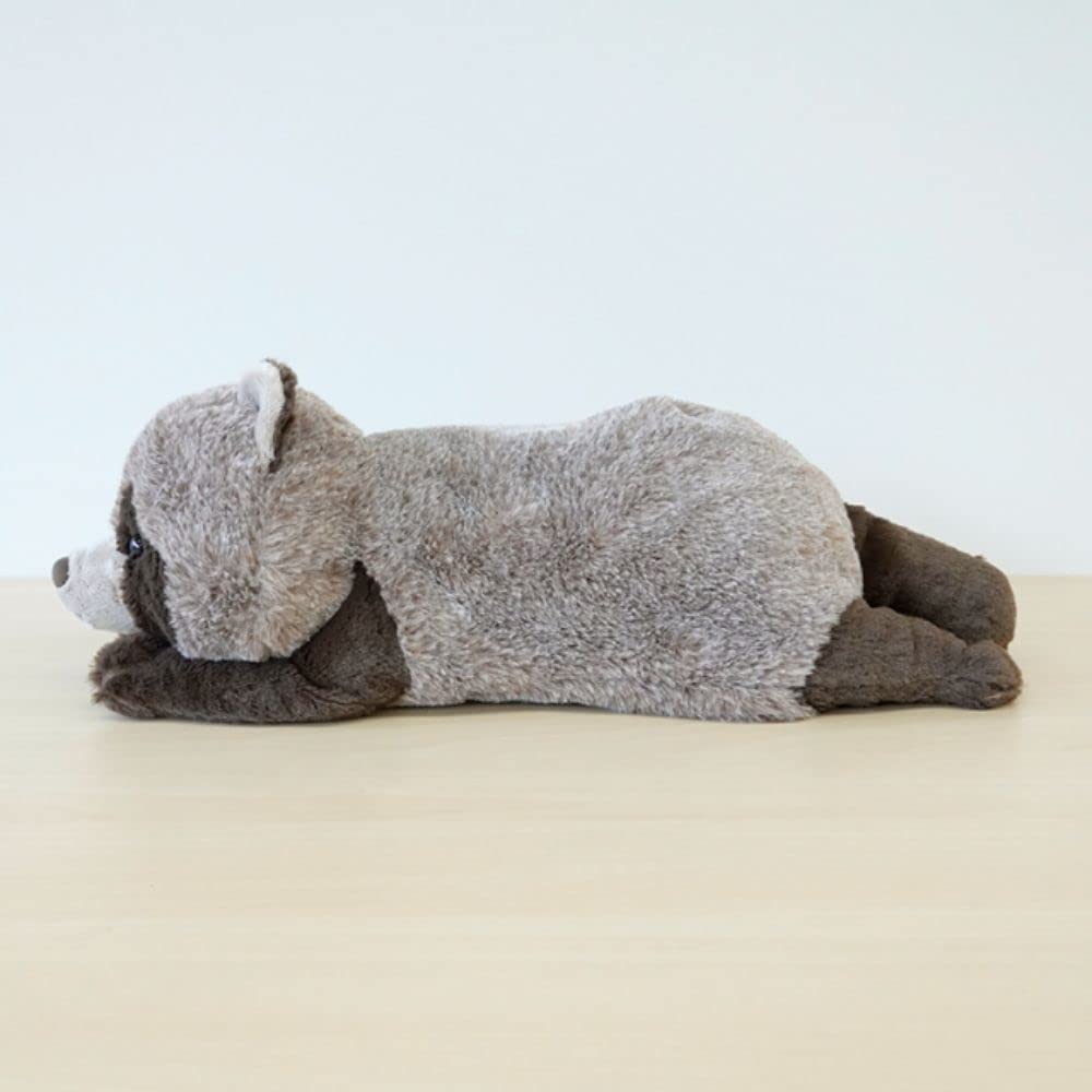 Sun Arrow Cushy Raccoon Plush Toy