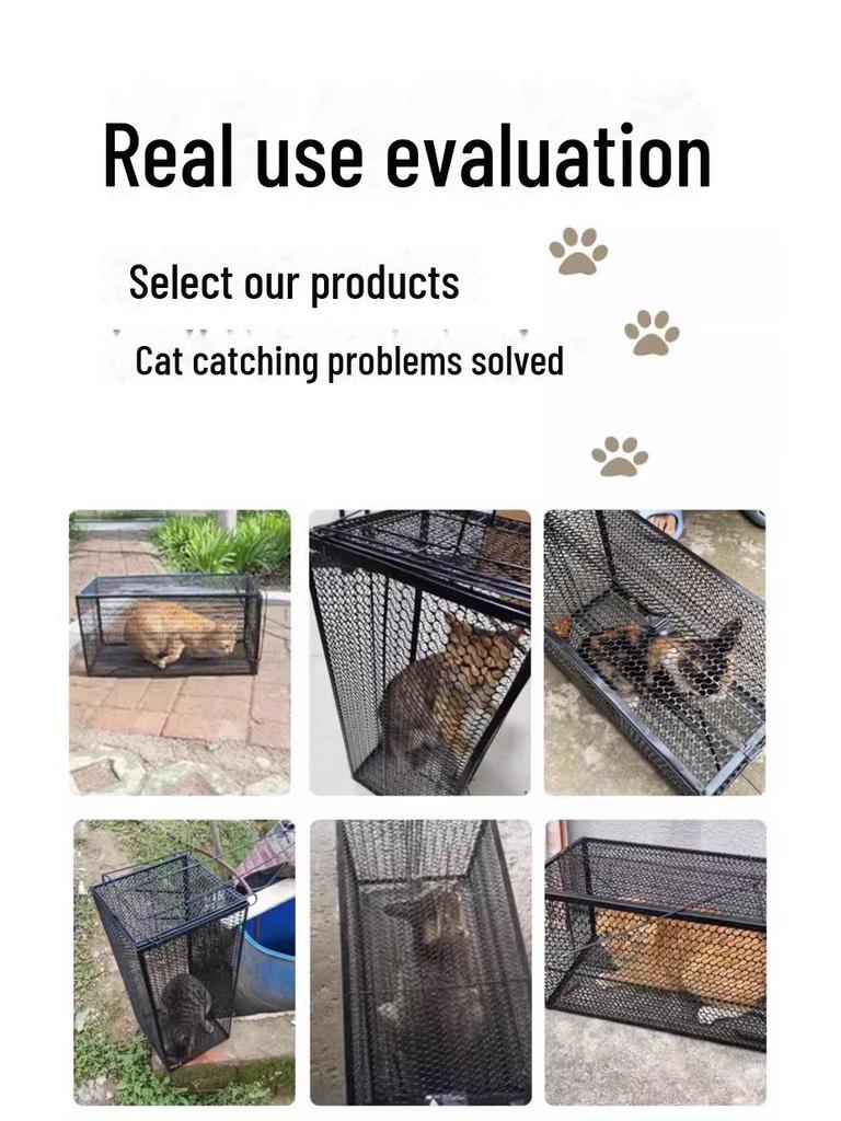 Полностью автоматическая клетка для больших кошек для гуманного спасения