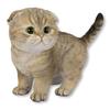 Ubia Scottish Fold with Drop Brown and 18 X X 15 Garden Cute Left-Facing Ears, Black, 10.5 Cm, Figurine, Animal, Decoration, Realistic, Cat, H24084-2A