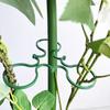 Plant Support Clips for Climbing Plants Reusable Gentle Plant Ties Garden Vine Support Clips for Indoor Outdoor Gardening or Plant Organization