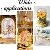 1pc Transparent Glass box with Wood Pedestal Half Round Clear 11.3x16cm