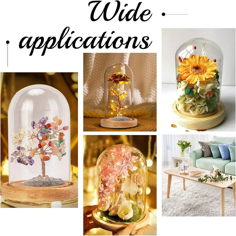 1pc Transparent Glass box with Wood Pedestal Half Round Clear 11.3x16cm