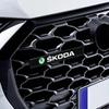 Car Front Cover Grille Lamp Emblem Decor Lightings LED Light For Skoda Fabia Octavia Karoq Kodiaq Superb Rapid Citigo Scale A7